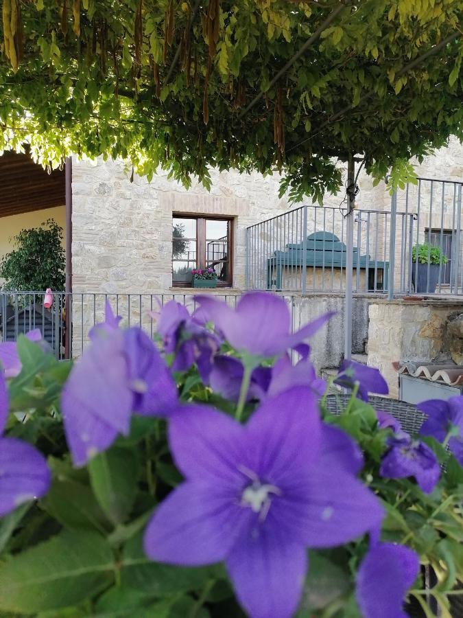 B&B Coldifiore Penna in Teverina Extérieur photo