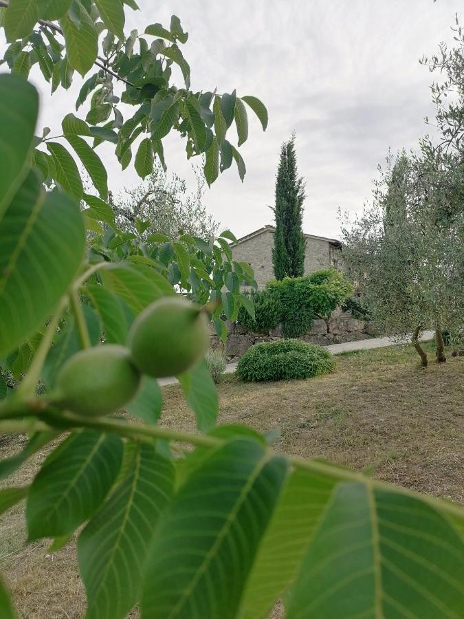 B&B Coldifiore Penna in Teverina Extérieur photo